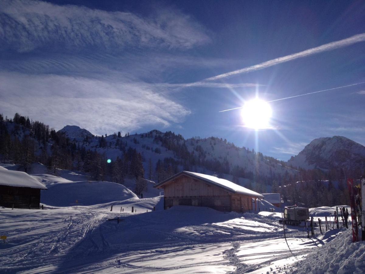 Chalet Happy Family, Secluded Location, 15 Min To Salzburg And Just Short To T Lakes Sound Of Music, Bbq&Bikes&Sunbeds For Free, Up To 14P Golling an der Salzach Kültér fotó
